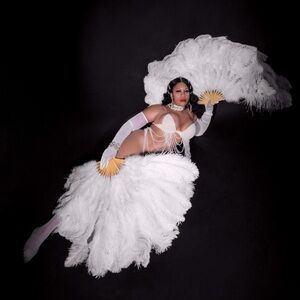 18 bar ostrich customized feathers